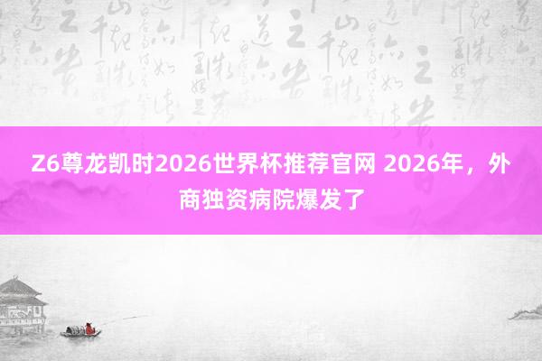 Z6尊龙凯时2026世界杯推荐官网 2026年，外商独资病院爆发了
