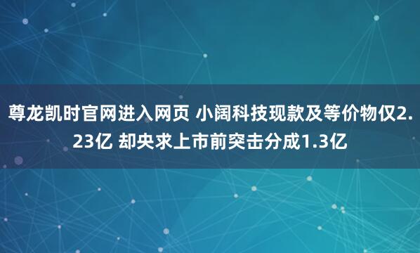 尊龙凯时官网进入网页 小阔科技现款及等价物仅2.23亿 却央求上市前突击分成1.3亿