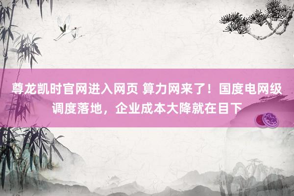 尊龙凯时官网进入网页 算力网来了！国度电网级调度落地，企业成本大降就在目下