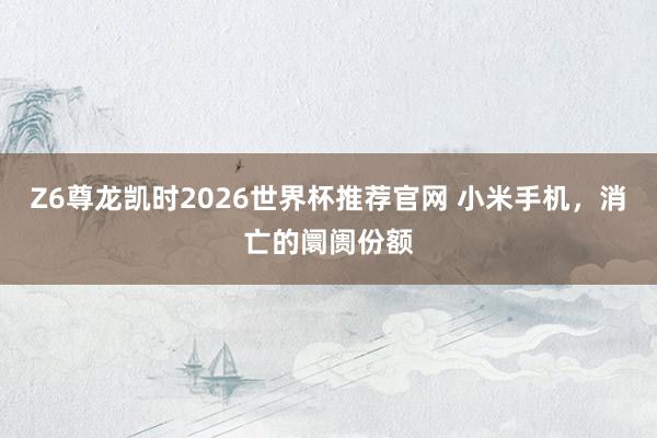 Z6尊龙凯时2026世界杯推荐官网 小米手机，消亡的阛阓份额