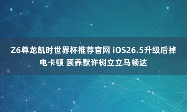 Z6尊龙凯时世界杯推荐官网 iOS26.5升级后掉电卡顿 颐养默许树立立马畅达