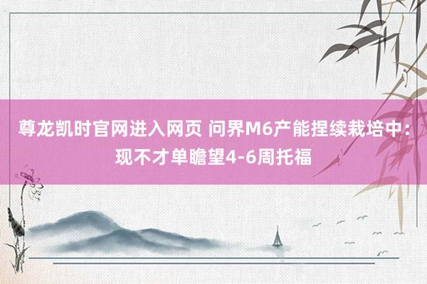 尊龙凯时官网进入网页 问界M6产能捏续栽培中：现不才单瞻望4-6周托福