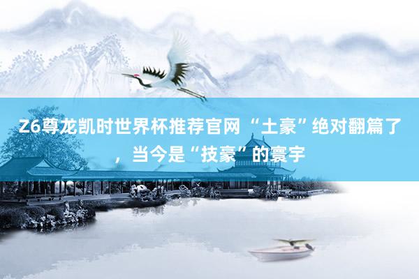 Z6尊龙凯时世界杯推荐官网 “土豪”绝对翻篇了，当今是“技豪”的寰宇
