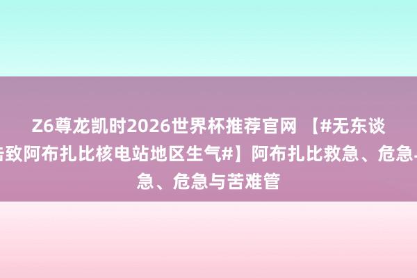 Z6尊龙凯时2026世界杯推荐官网 【#无东谈主机打击致阿布扎比核电站地区生气#】阿布扎比救急、危急与苦难管