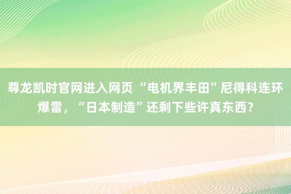 尊龙凯时官网进入网页 “电机界丰田”尼得科连环爆雷，“日本制造”还剩下些许真东西？