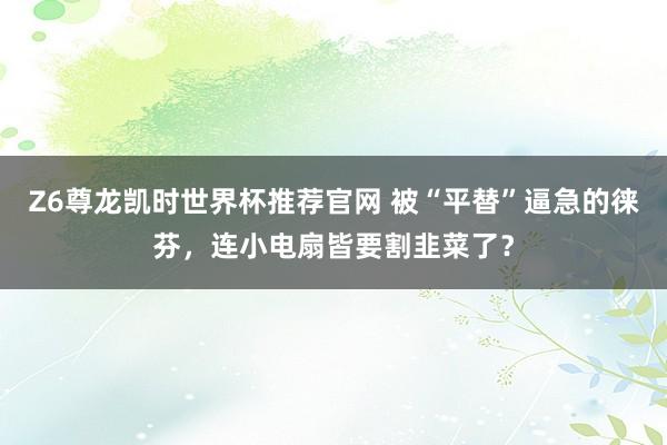 Z6尊龙凯时世界杯推荐官网 被“平替”逼急的徕芬，连小电扇皆要割韭菜了？