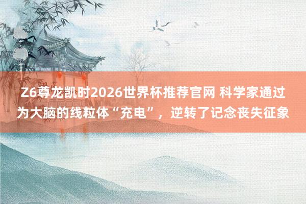 Z6尊龙凯时2026世界杯推荐官网 科学家通过为大脑的线粒体“充电”，逆转了记念丧失征象