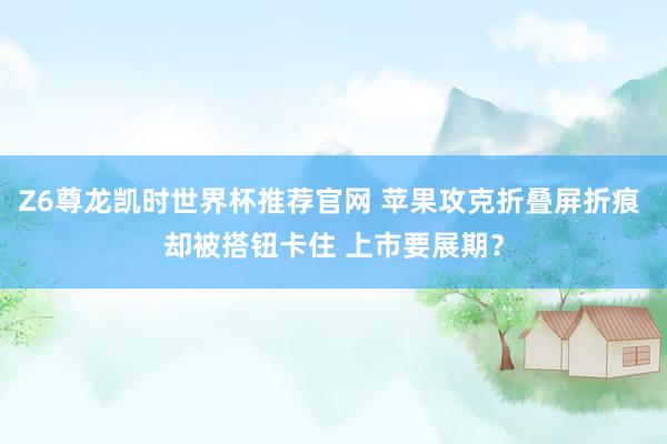Z6尊龙凯时世界杯推荐官网 苹果攻克折叠屏折痕 却被搭钮卡住 上市要展期？