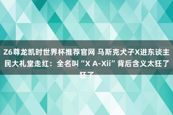 Z6尊龙凯时世界杯推荐官网 马斯克犬子X进东谈主民大礼堂走红：全名叫“X A-Xii”背后含义太狂了