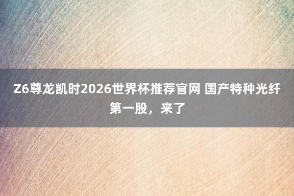 Z6尊龙凯时2026世界杯推荐官网 国产特种光纤第一股，来了