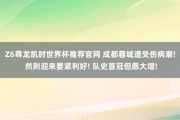 Z6尊龙凯时世界杯推荐官网 成都蓉城遭受伤病潮! 然则迎来要紧利好! 队史首冠但愿大增!
