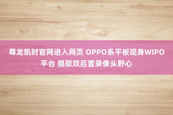 尊龙凯时官网进入网页 OPPO系平板现身WIPO平台 摄取双后置录像头野心