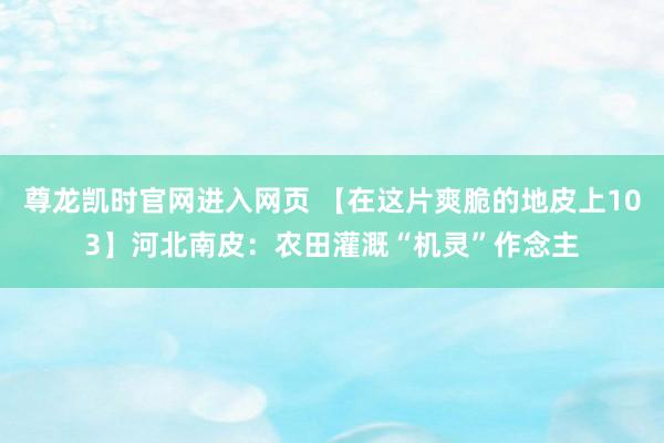 尊龙凯时官网进入网页 【在这片爽脆的地皮上103】河北南皮：农田灌溉“机灵”作念主