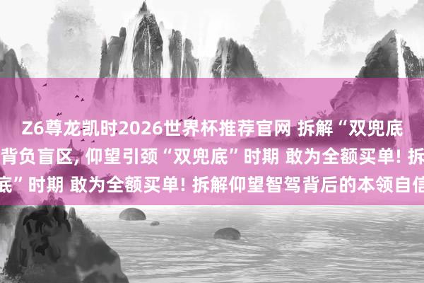 Z6尊龙凯时2026世界杯推荐官网 拆解“双兜底”背后的底气 突破智驾背负盲区， 仰望引颈“双兜底”时期 敢为全额买单! 拆解仰望智驾背后的本领自信