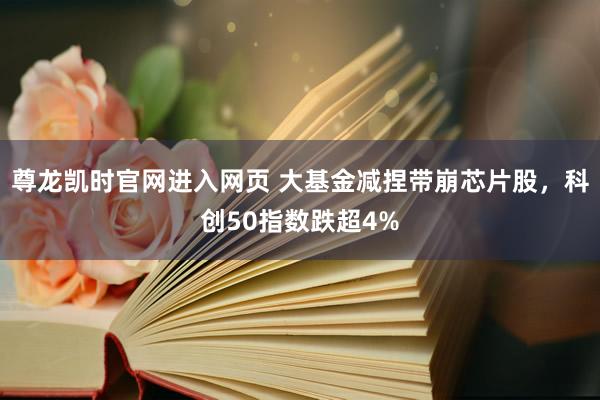 尊龙凯时官网进入网页 大基金减捏带崩芯片股，科创50指数跌超4%