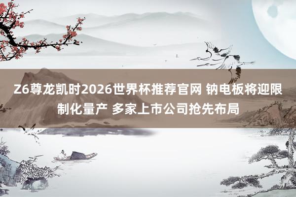 Z6尊龙凯时2026世界杯推荐官网 钠电板将迎限制化量产 多家上市公司抢先布局