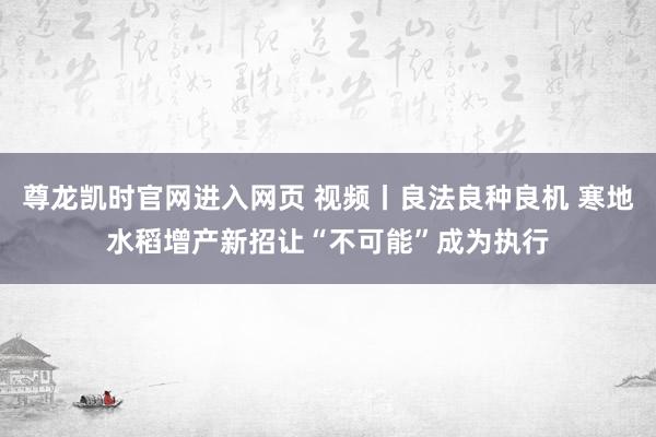 尊龙凯时官网进入网页 视频丨良法良种良机 寒地水稻增产新招让“不可能”成为执行