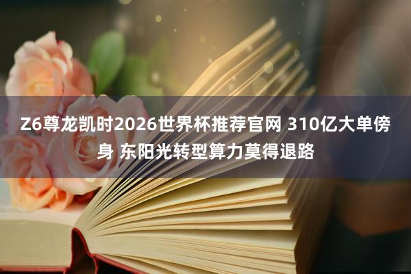 Z6尊龙凯时2026世界杯推荐官网 310亿大单傍身 东阳光转型算力莫得退路