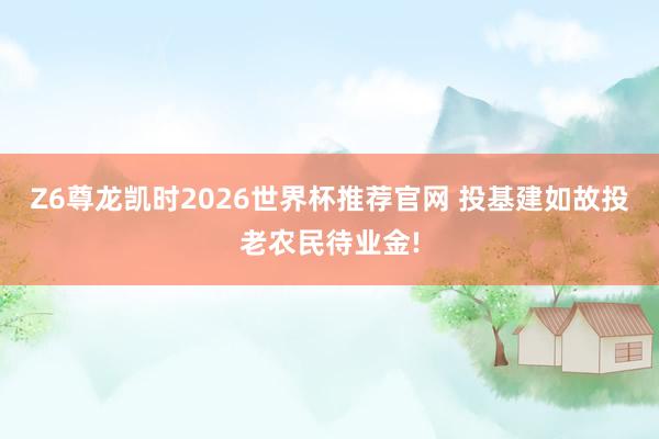 Z6尊龙凯时2026世界杯推荐官网 投基建如故投老农民待业金!