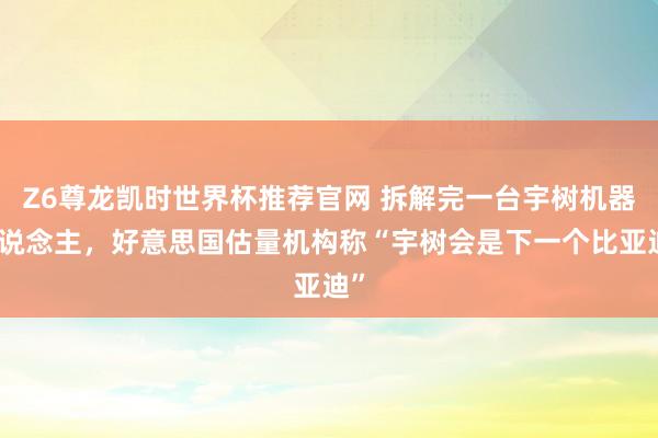 Z6尊龙凯时世界杯推荐官网 拆解完一台宇树机器东说念主，好意思国估量机构称“宇树会是下一个比亚迪”