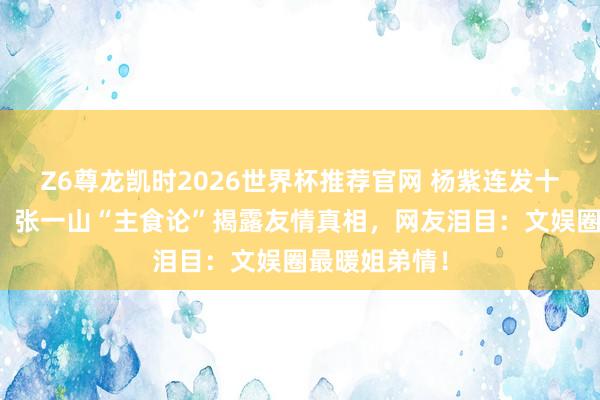 Z6尊龙凯时2026世界杯推荐官网 杨紫连发十年生辰祈福！张一山“主食论”揭露友情真相，网友泪目：文娱圈最暖姐弟情！