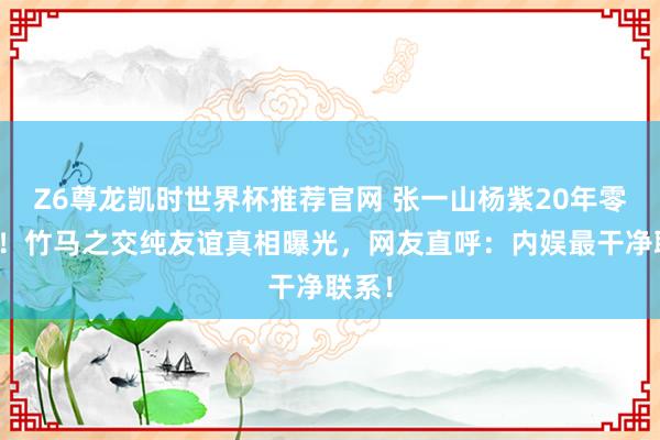 Z6尊龙凯时世界杯推荐官网 张一山杨紫20年零绯闻!竹马之交纯友谊真相曝光,网友直呼:内娱最干净联系!
