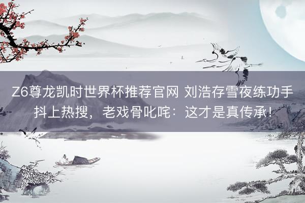Z6尊龙凯时世界杯推荐官网 刘浩存雪夜练功手抖上热搜，老戏骨叱咤：这才是真传承！