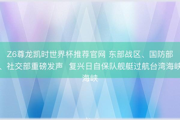 Z6尊龙凯时世界杯推荐官网 东部战区、国防部、社交部重磅发声  复兴日自保队舰艇过航台湾海峡