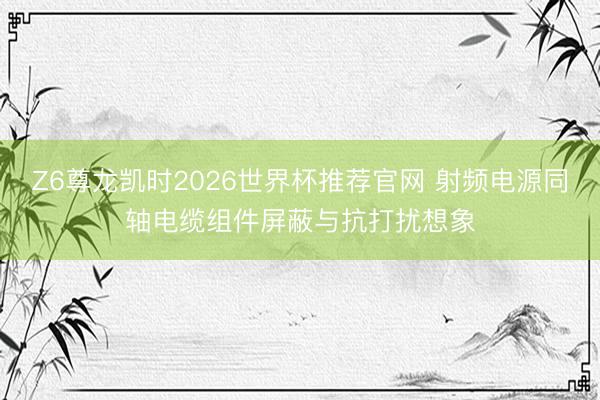 Z6尊龙凯时2026世界杯推荐官网 射频电源同轴电缆组件屏蔽与抗打扰想象