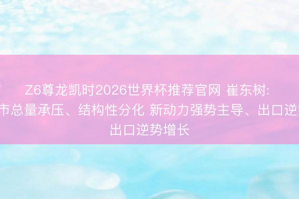 Z6尊龙凯时2026世界杯推荐官网 崔东树: 5月车市总量承压、结构性分化 新动力强势主导、出口逆势增长